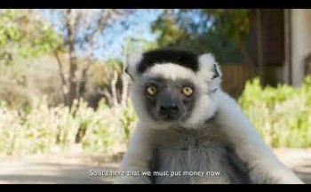 Innovative financing to save Madagascar's unique biodiversity