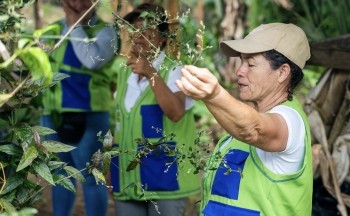 Sofia Arroyave at her farmstead.
