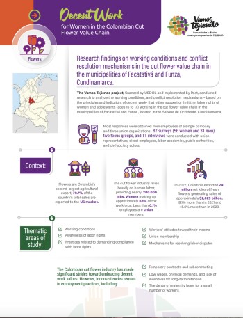 Research summary: Decent work for women in the Colombian cut flower value chain
