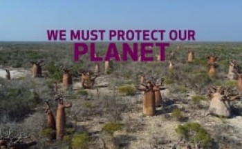 Our environment work