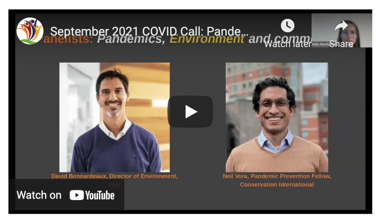 Webinar: Pandemics, environment and communities